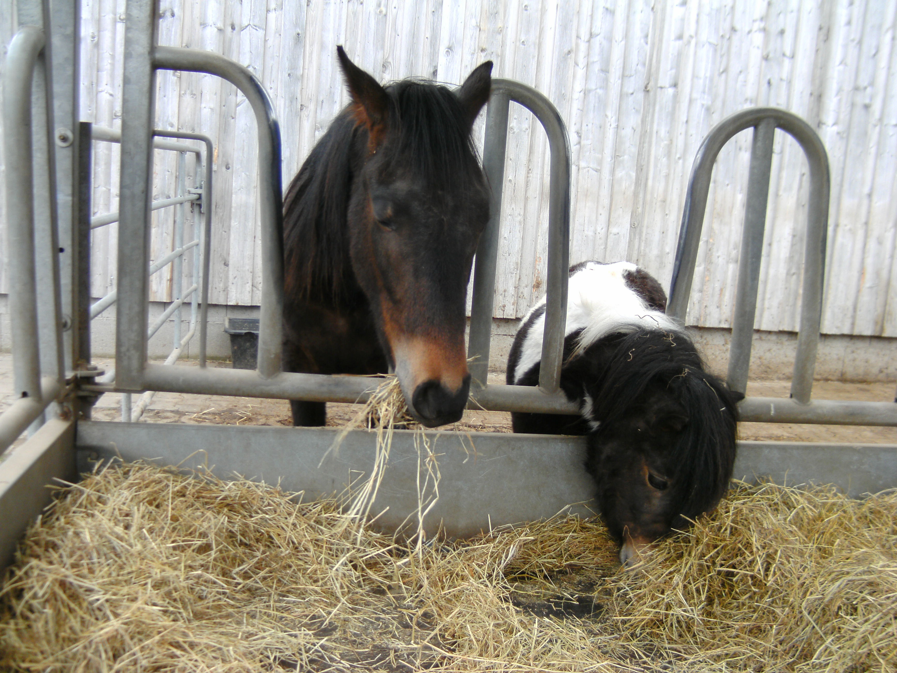 100DSCIM 2013-04-03_11-30-02