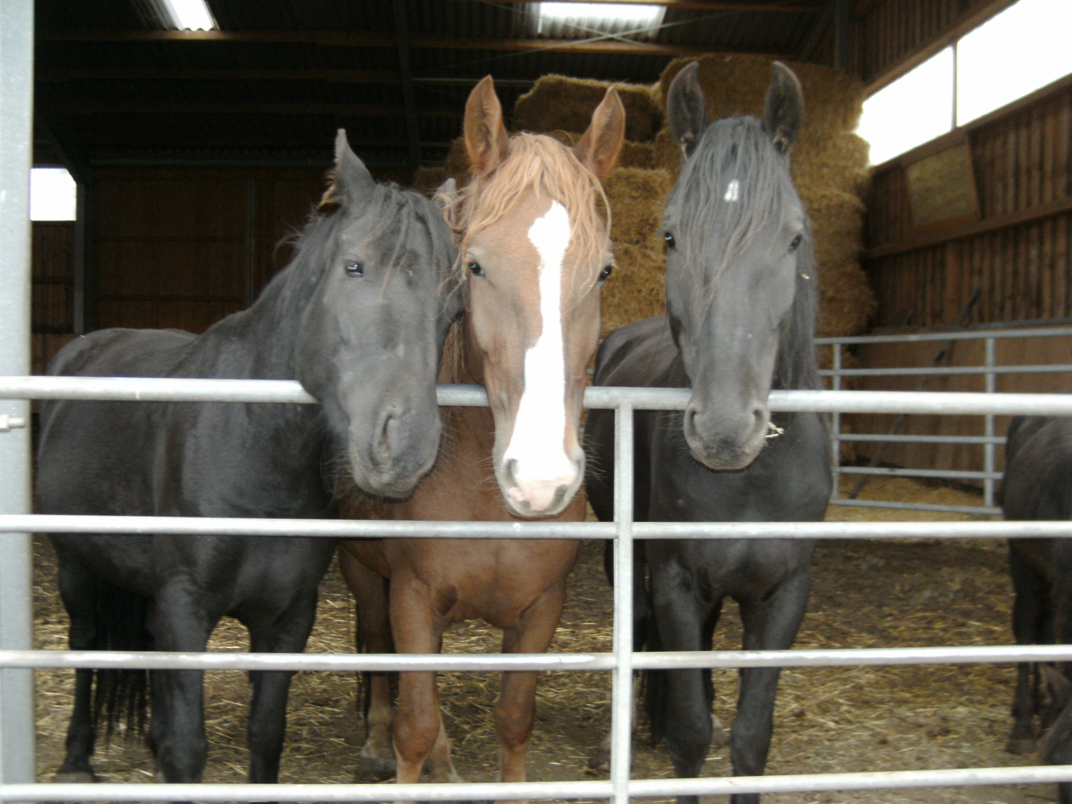 100DSCIM 2013-09-20_12-12-39