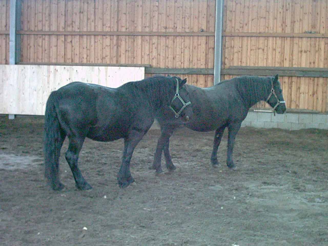 M�rens Foto�s 2002-01-01_10-10-00_02