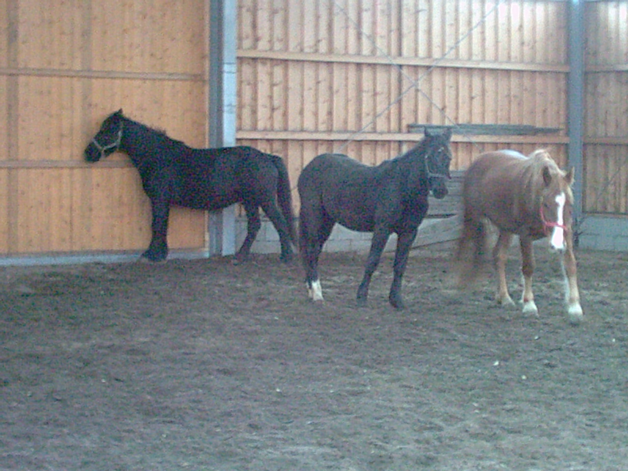 M�rens Foto�s 2002-01-01_10-10-00_03